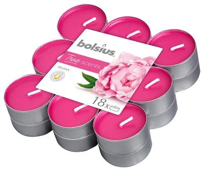 Gyertya bolsius Tealight True Scents, pünkösdi rózsa, csomag. 18 db