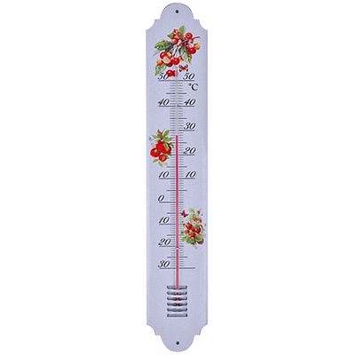 Hőmérő Strend Pro TM-156 Country, 500 mm