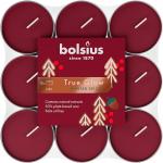 Gyertya Bolsius Starlight Téli fűszerek, Karácsony, borvörös, teamécses, 4 óra, csomag 18 db